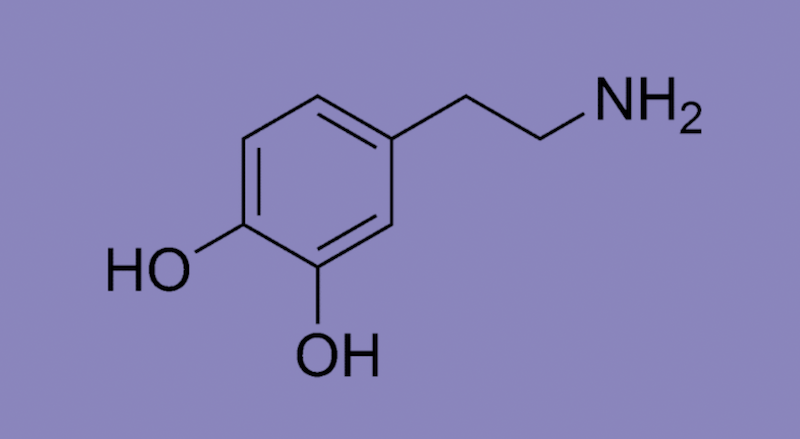 How Managing This Molecule Can Help You Achieve Your Goals